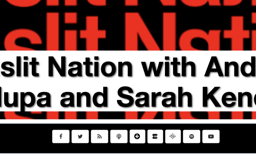 Gaslit Nation: Laboratories of Autocracy; The David Pepper Interview