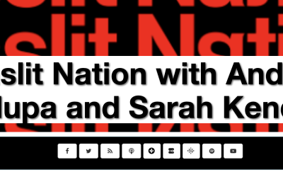 Gaslit Nation: Laboratories of Autocracy; The David Pepper Interview